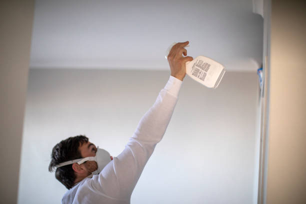 Best Mold Removal Near Me  in Terville, WA